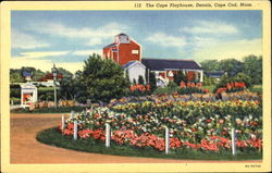 The Cape Playhouse, Dennis Postcard