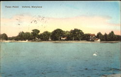 Town Point Oxford, MD Postcard Postcard