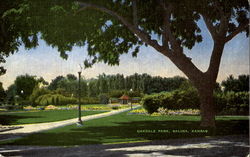 Oakdale Park Postcard