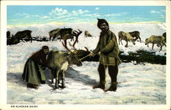 An Alaskan Dairy Postcard Postcard