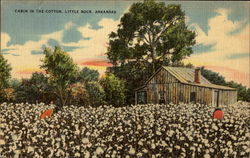 Cabin In The Cotton Little Rock, AR Postcard Postcard