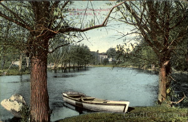 On The Beautiful Shawangunk Kill Bloomingburg New York