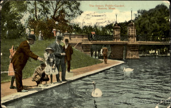 The Swans Public Garden Boston Massachusetts