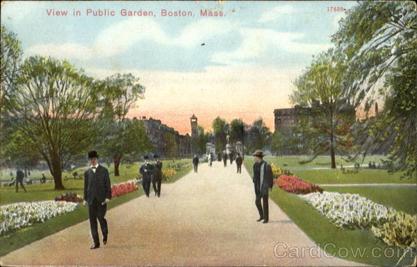 View In Public Garden Boston Massachusetts