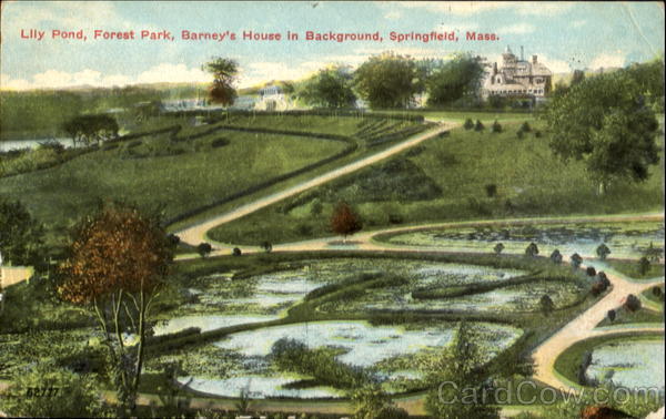 Lily Pond, Forest Park Springfield Massachusetts