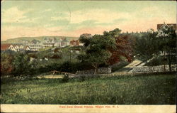 View From Ocean House Postcard