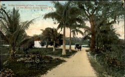 In The Grounds Of Gen Lawrence Postcard