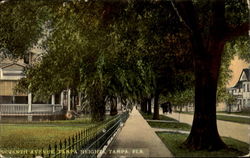 Seventh Avenue, Tampa Height Florida Postcard Postcard