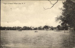 View Of North White Lake, NY Postcard Postcard