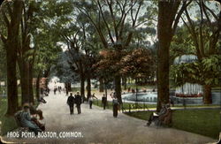 Frog Pond Postcard