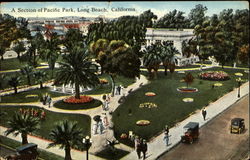 A Section of Pacific Park Postcard