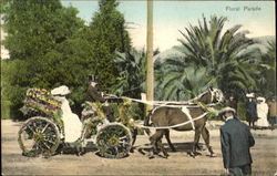 Floral Parade Postcard