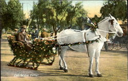 Stock #122495 Thumbnail