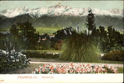 Carmelita Pasadena, CA Postcard Postcard