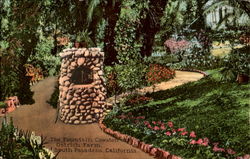 The Fountain Cawston, Ostrich Farm Postcard