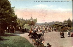 Beautiful Golden Gate Park Postcard