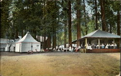 Camp Curry Postcard