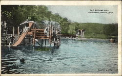 The Bathing Dock, Pine Grove Niantic, CT Postcard Postcard