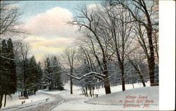 Winter Scene In Druid Hill Park Postcard