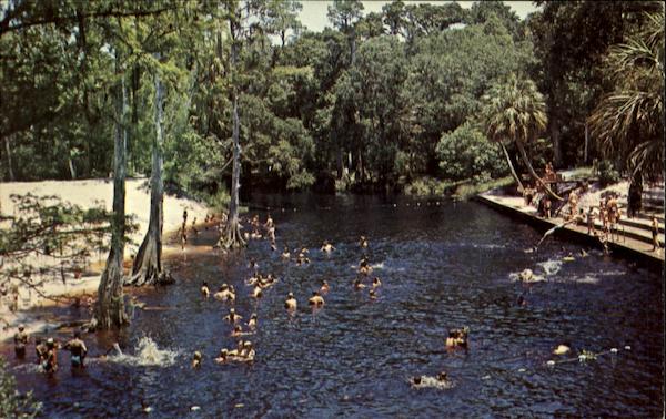 Hillsborough River State Park Beach Area Scenic Florida