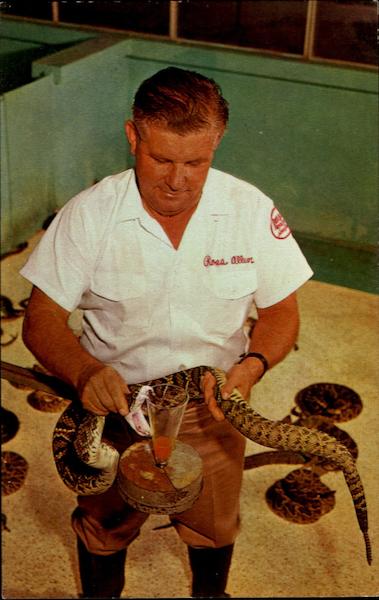 Ross Allen's Reptile Institute, Seminole Indian Village Silver Springs Florida