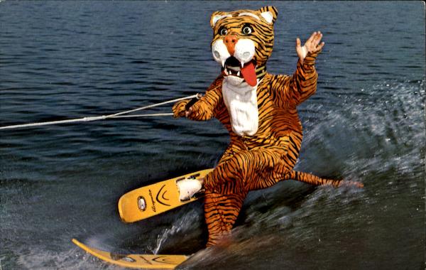 Timmy The Tiger Cypress Gardens Florida