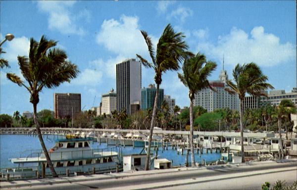 New Marina, Bayfront Park Miami Florida