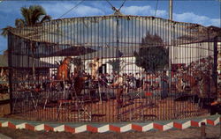 The Big Outdoor Cage Postcard