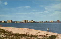 Sarasota Skyline From Across Bay Postcard