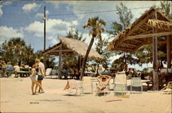 Beautiful Picnic Area On Siesta Beach Sarasota, FL Postcard Postcard