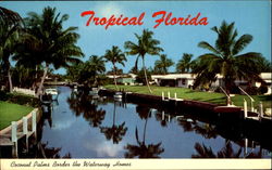 Tropical Florida Scenic, FL Postcard Postcard