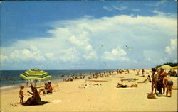 A Magnificent Municipal Beach Scenic, FL Postcard Postcard