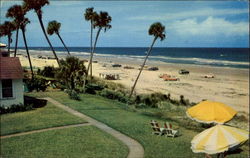 Palms Along The Beach Scenic, FL Postcard Postcard