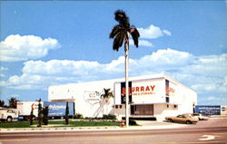 Murray Van & Storage Florida Postcard Postcard