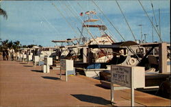 Sport-Fishing Fleet Postcard