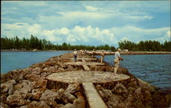 Fishing Is Great In Sunny Venice Florida Postcard Postcard