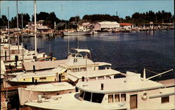 Yachts Line The Docks Of The Municipal Marina Postcard