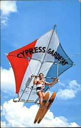 The Flying Kite Man Postcard