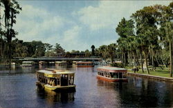 Florida's Silver Springs Florida's Silver Springs