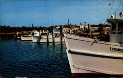 Fishing Fleet Postcard