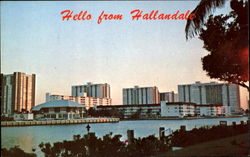 Hello From Hallandale Florida Postcard Postcard