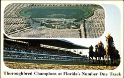 Thoroughbred Champions At Florida's Number One Track Hallandale, FL Postcard Postcard