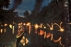 Twilight At Coco Palms Florida Postcard Postcard