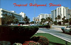 Tropical Hollywood Postcard