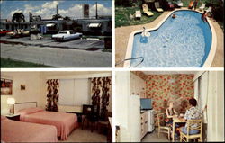 Motel Elite Motel, 1735 Arthur Street Hollywood, FL Postcard Postcard
