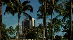 Stock #123318 Thumbnail