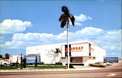 Murray Van & Storage Florida Trucks Postcard Postcard