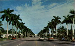 Hollywood By The Sea Postcard