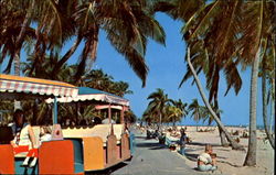 Two Miles Of Atlantic Ocean Beach, Crandon Park Key Biscayne Miami, FL Postcard Postcard