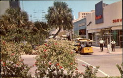 Exotic Lincoln Mall Postcard